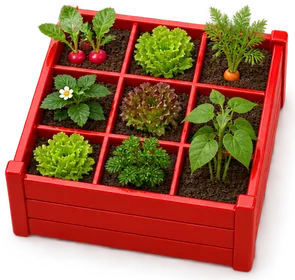 Un carré potager rouge divisé en neuf cases plantées de radis, salades, carotte, fraisier et haricots