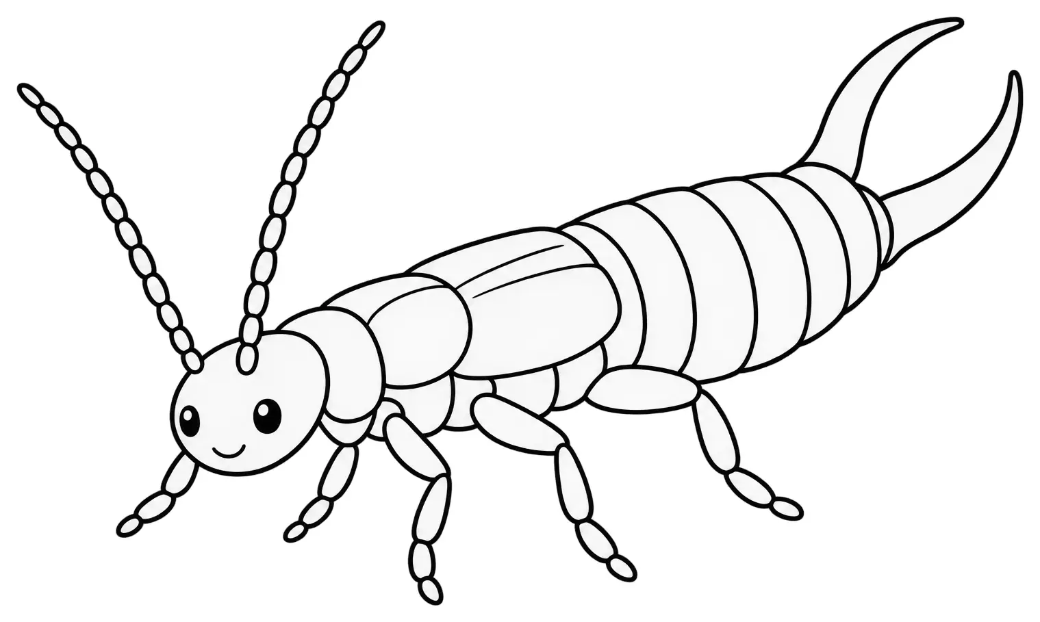 Coloriage de Perce-oreille commun : dessin au trait noir à colorier