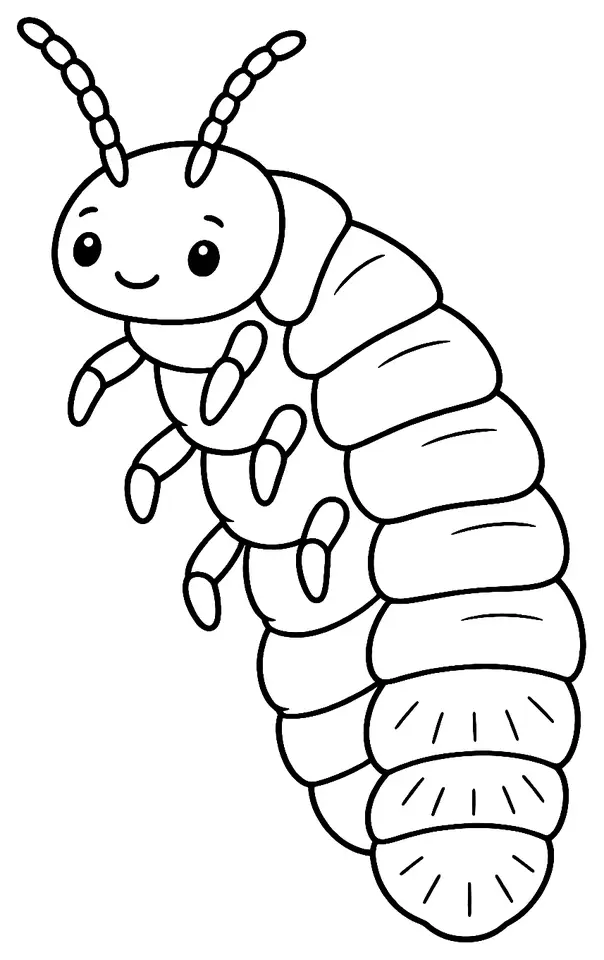 Coloriage de Ver luisant (auxiliaire) : dessin au trait noir à colorier