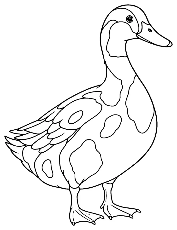 Coloriage de Arlequin gallois : dessin au trait noir à colorier