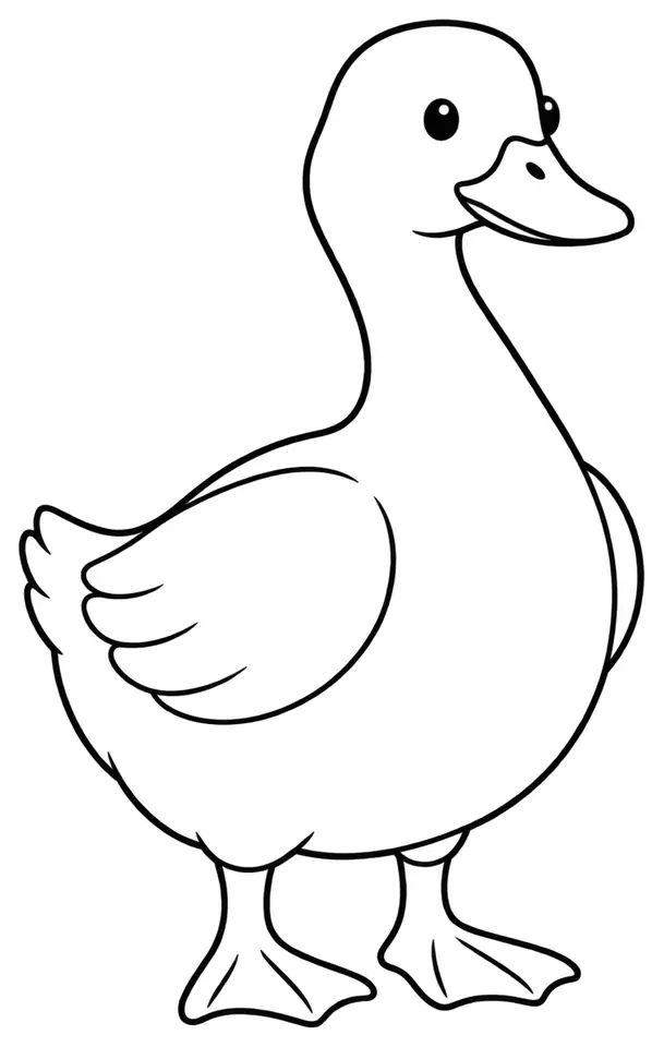 Coloriage de Canard Campbell anglais : dessin au trait noir à colorier