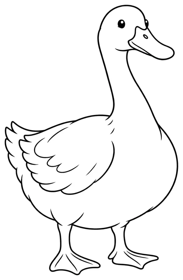Coloriage de Canard d’Aylesbury : dessin au trait noir à colorier