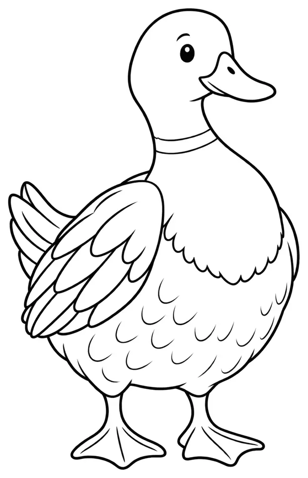 Coloriage de Canard d’Overberg : dessin au trait noir à colorier