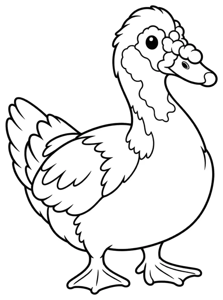 Coloriage de Canard de Barbarie : dessin au trait noir à colorier