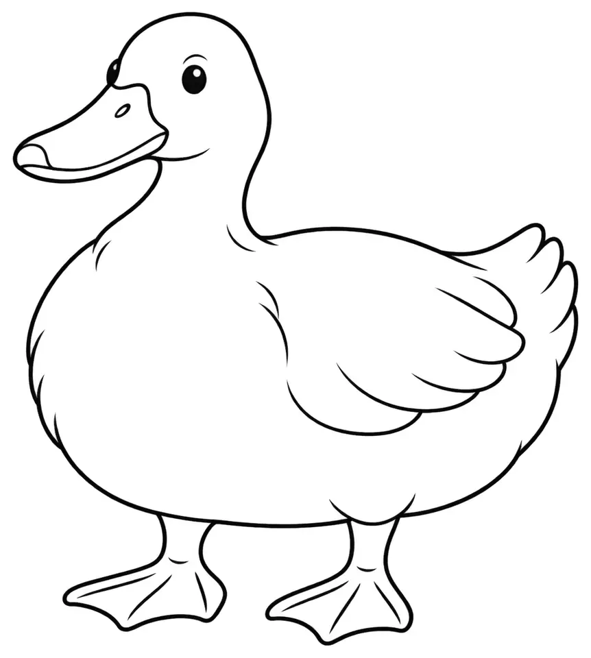 Coloriage de Canard de Bourbourg : dessin au trait noir à colorier