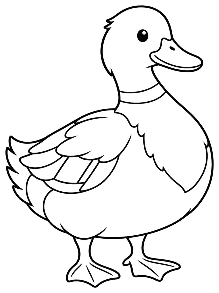 Coloriage de Canard de Challans : dessin au trait noir à colorier