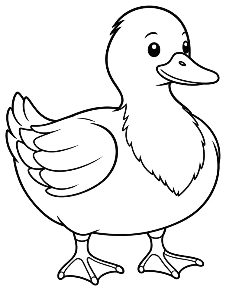 Coloriage de Canard de Poméranie : dessin au trait noir à colorier