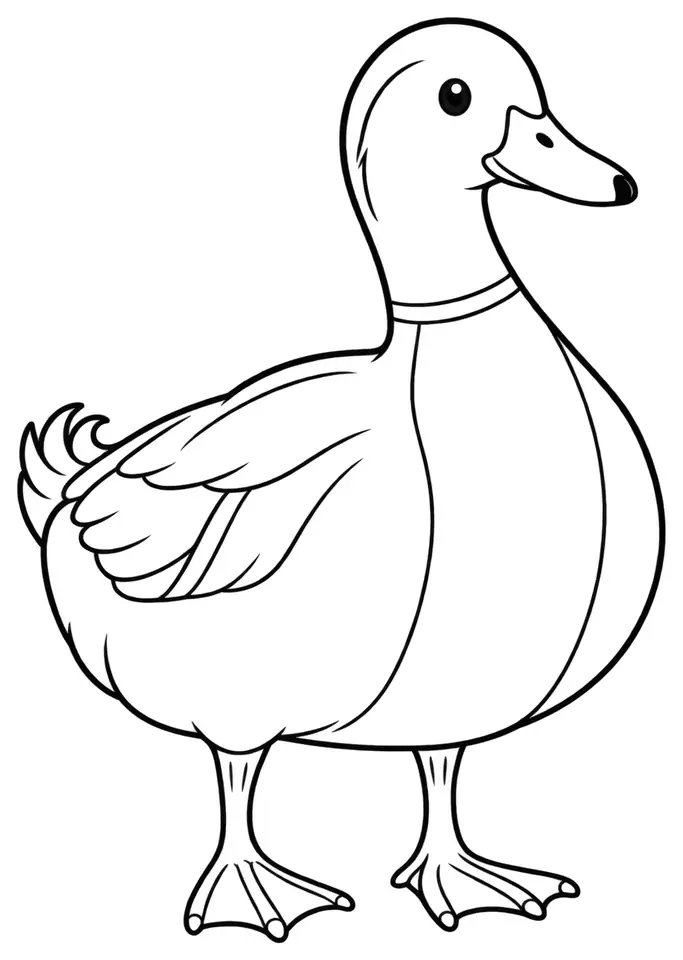 Coloriage de Canard de Rouen anglais : dessin au trait noir à colorier