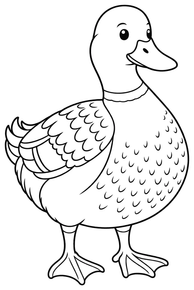 Coloriage de Canard de Rouen français : dessin au trait noir à colorier