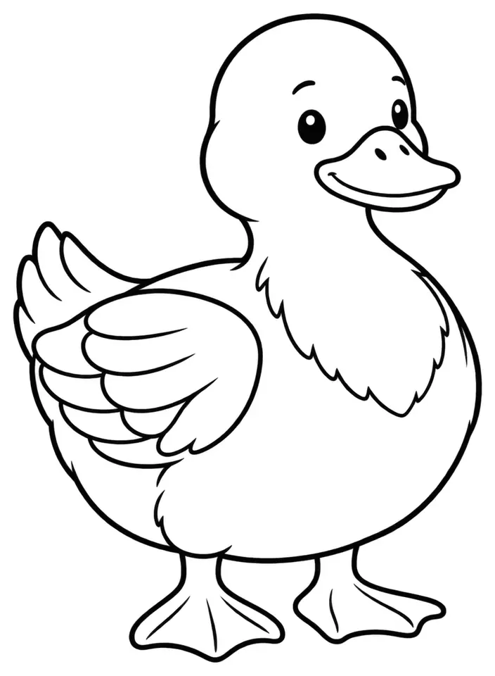 Coloriage de Canard de Shetland : dessin au trait noir à colorier