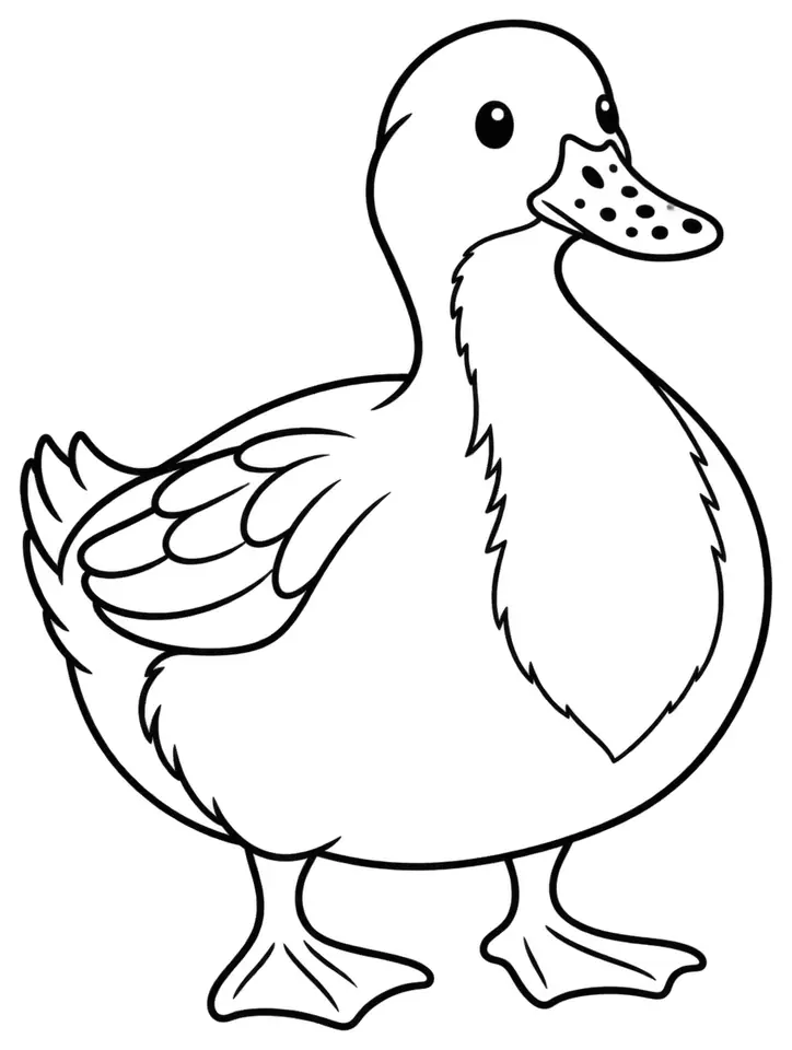 Coloriage de Canard de Vouillé : dessin au trait noir à colorier