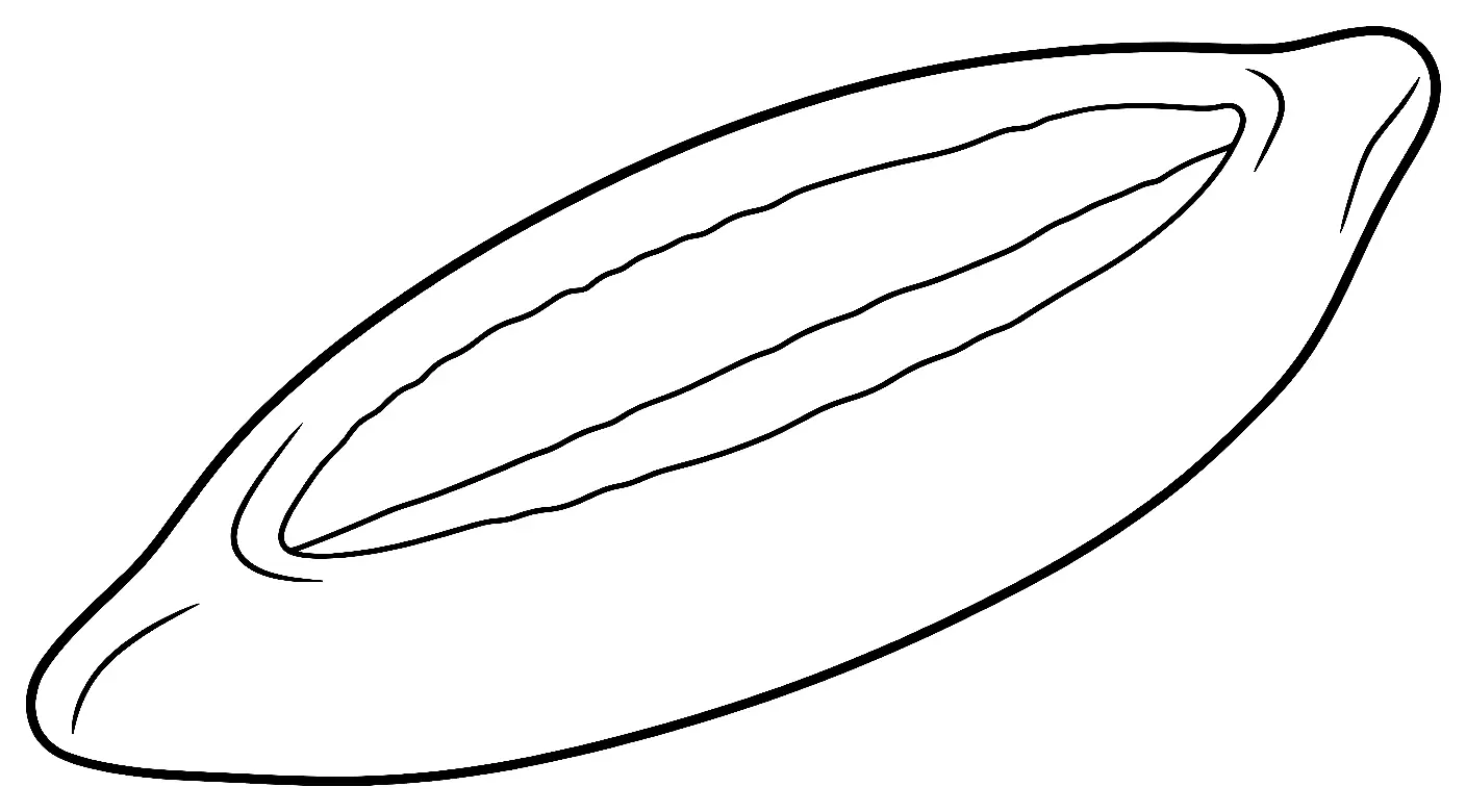 Coloriage de Navette de Marseille : dessin au trait noir à colorier