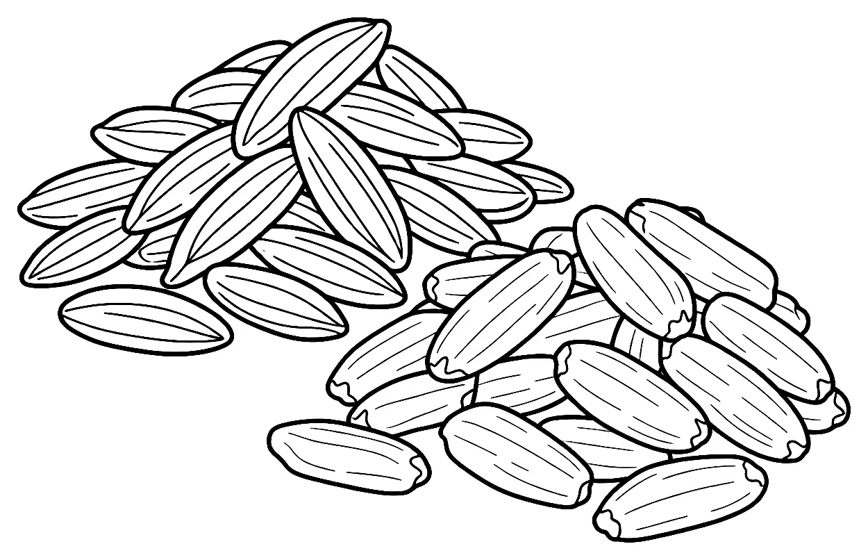 Coloriage de Riz de Camargue (céréale, farine ou pain) : dessin au trait noir à colorier