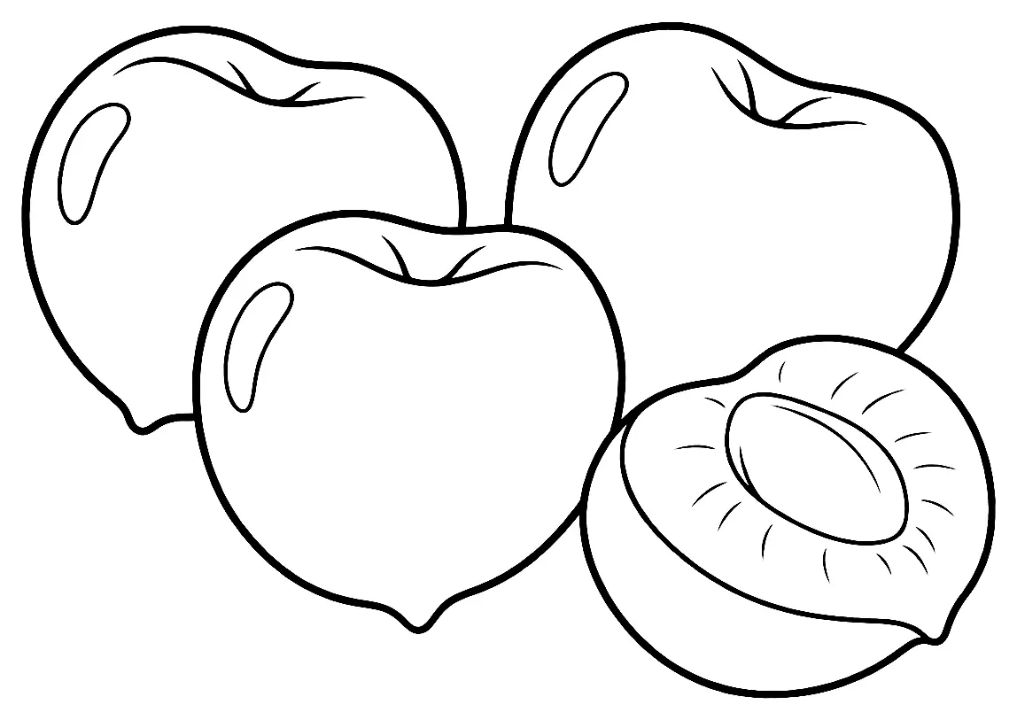 Coloriage de Cerise du Jerte (cerise) : dessin au trait noir à colorier