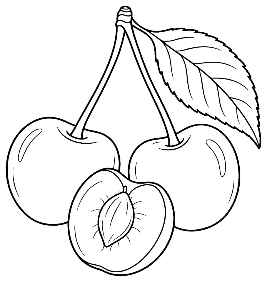 Coloriage de Cerise Rainier : dessin au trait noir à colorier