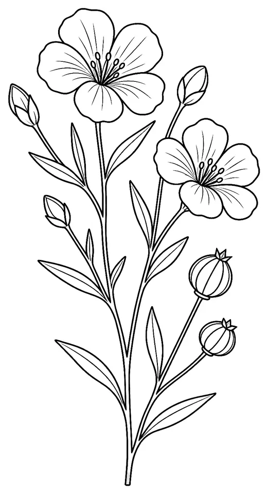 Coloriage de Lin : dessin au trait noir à colorier