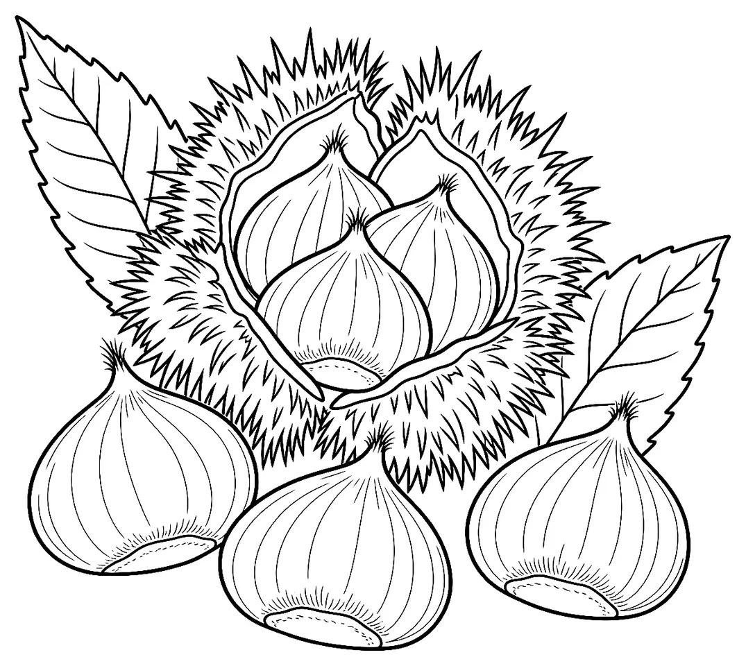 Coloriage de Pourette (châtaigne) : dessin au trait noir à colorier
