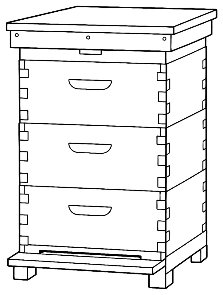 Coloriage de Ruche : dessin au trait noir à colorier