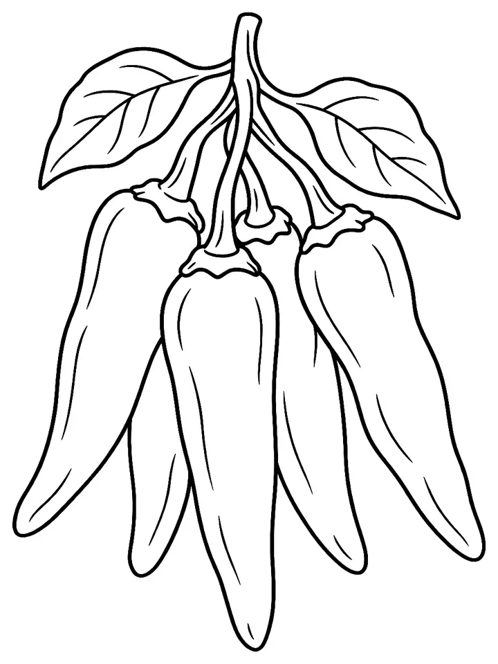 Coloriage de Piment d’Espelette (produit d’épicerie) : dessin au trait noir à colorier