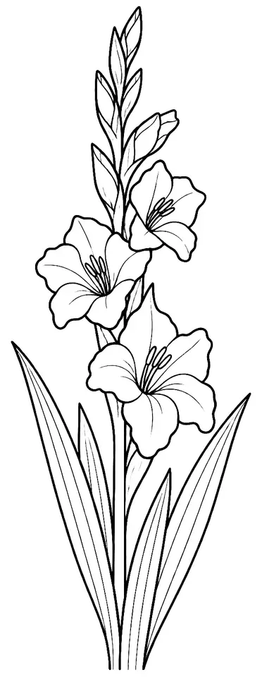 Coloriage de Glaïeul : dessin au trait noir à colorier