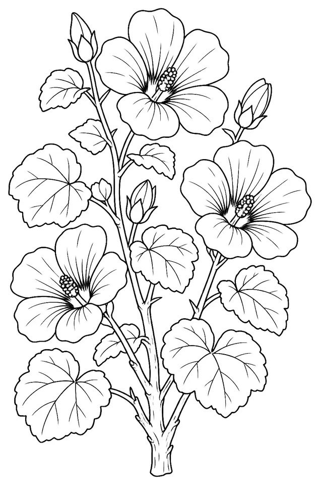 Coloriage de Lavatère : dessin au trait noir à colorier