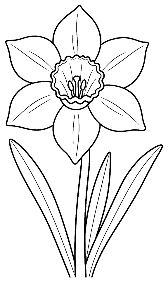 Coloriage de Narcisse des poètes (fleur du jardin) : dessin au trait noir à colorier