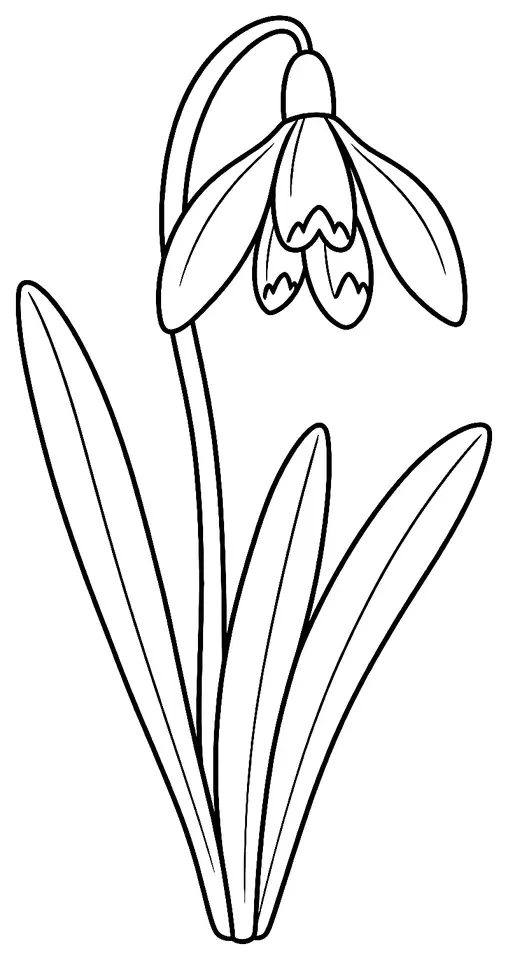 Coloriage de Perce-neige : dessin au trait noir à colorier
