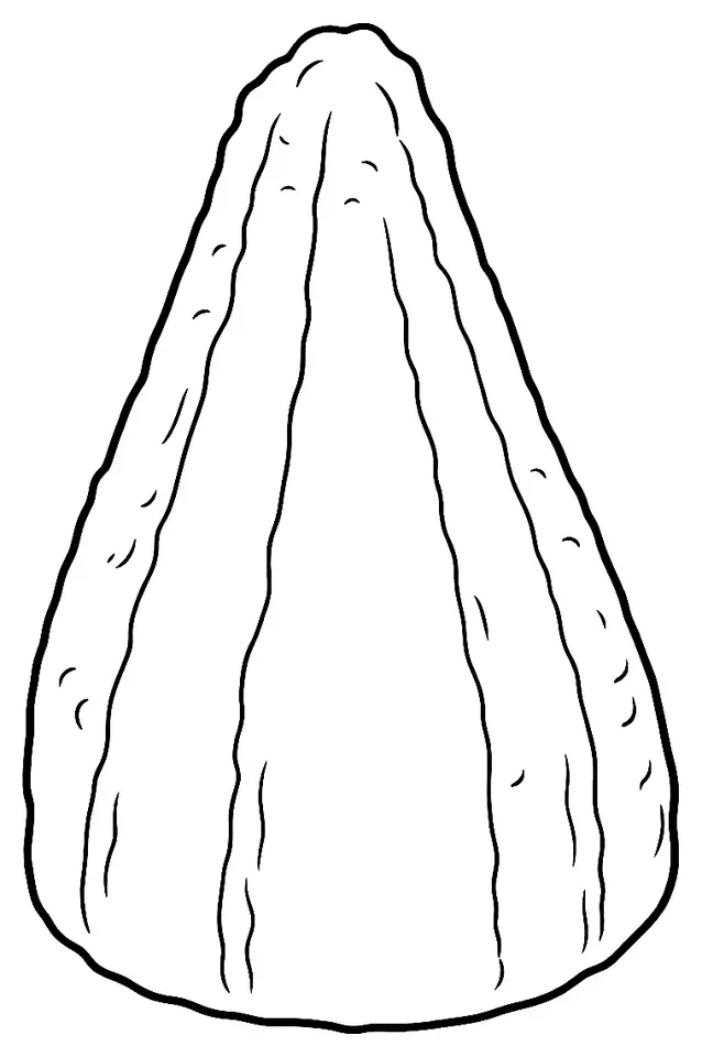Coloriage de Brousse du Rove : dessin au trait noir à colorier