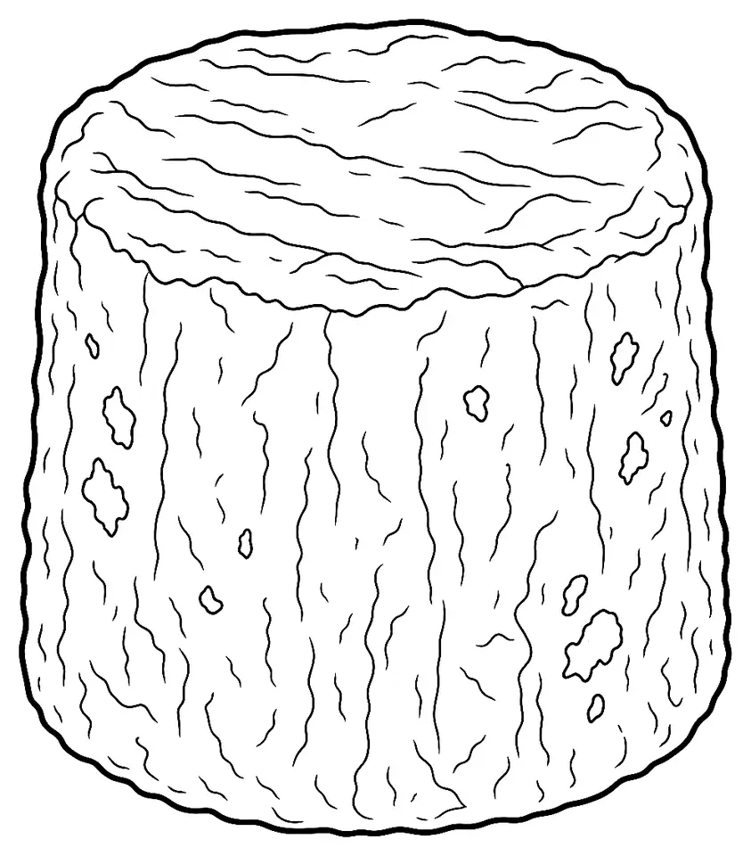 Coloriage de Charolais : dessin au trait noir à colorier