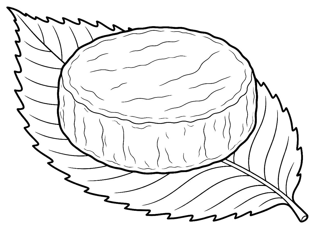 Coloriage de Mothais sur feuille : dessin au trait noir à colorier