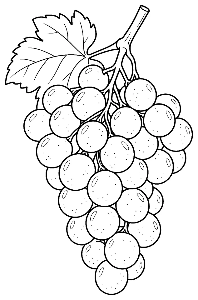 Coloriage de Chasselas de Moissac : dessin au trait noir à colorier