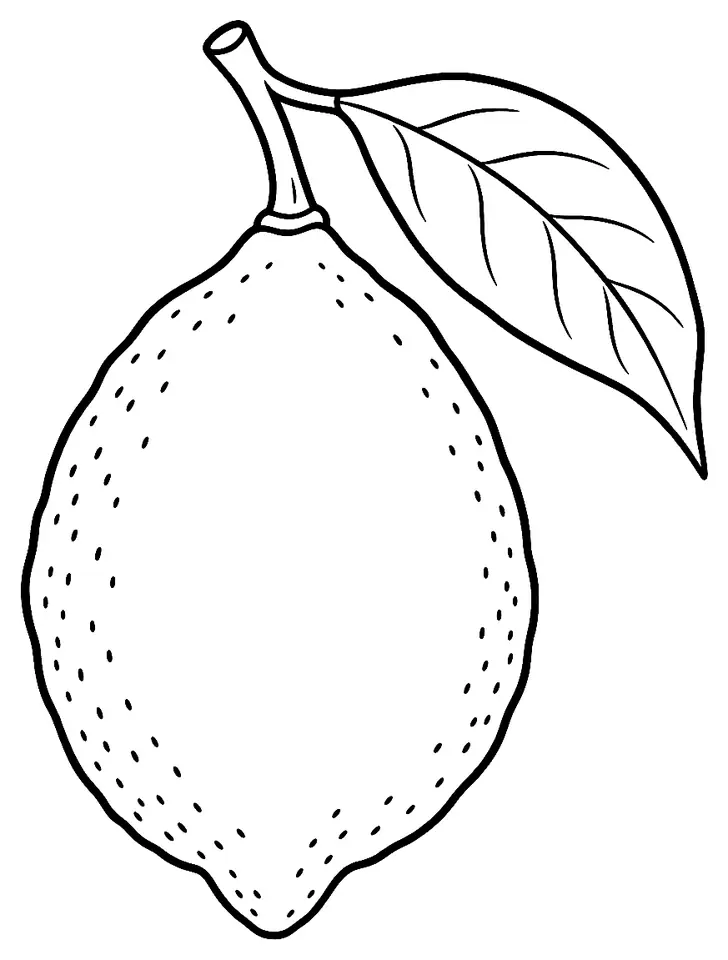 Coloriage de Citron de Menton : dessin au trait noir à colorier