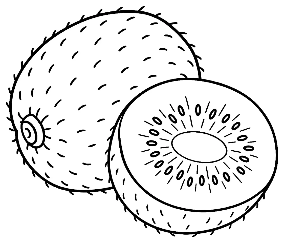 Coloriage de Kiwi de l’Adour : dessin au trait noir à colorier