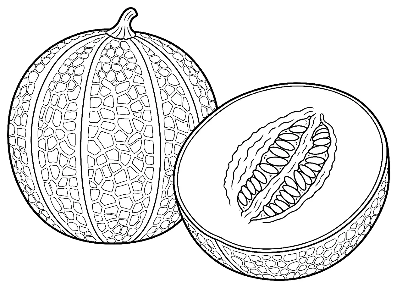 Coloriage de Melon du Haut-Poitou : dessin au trait noir à colorier