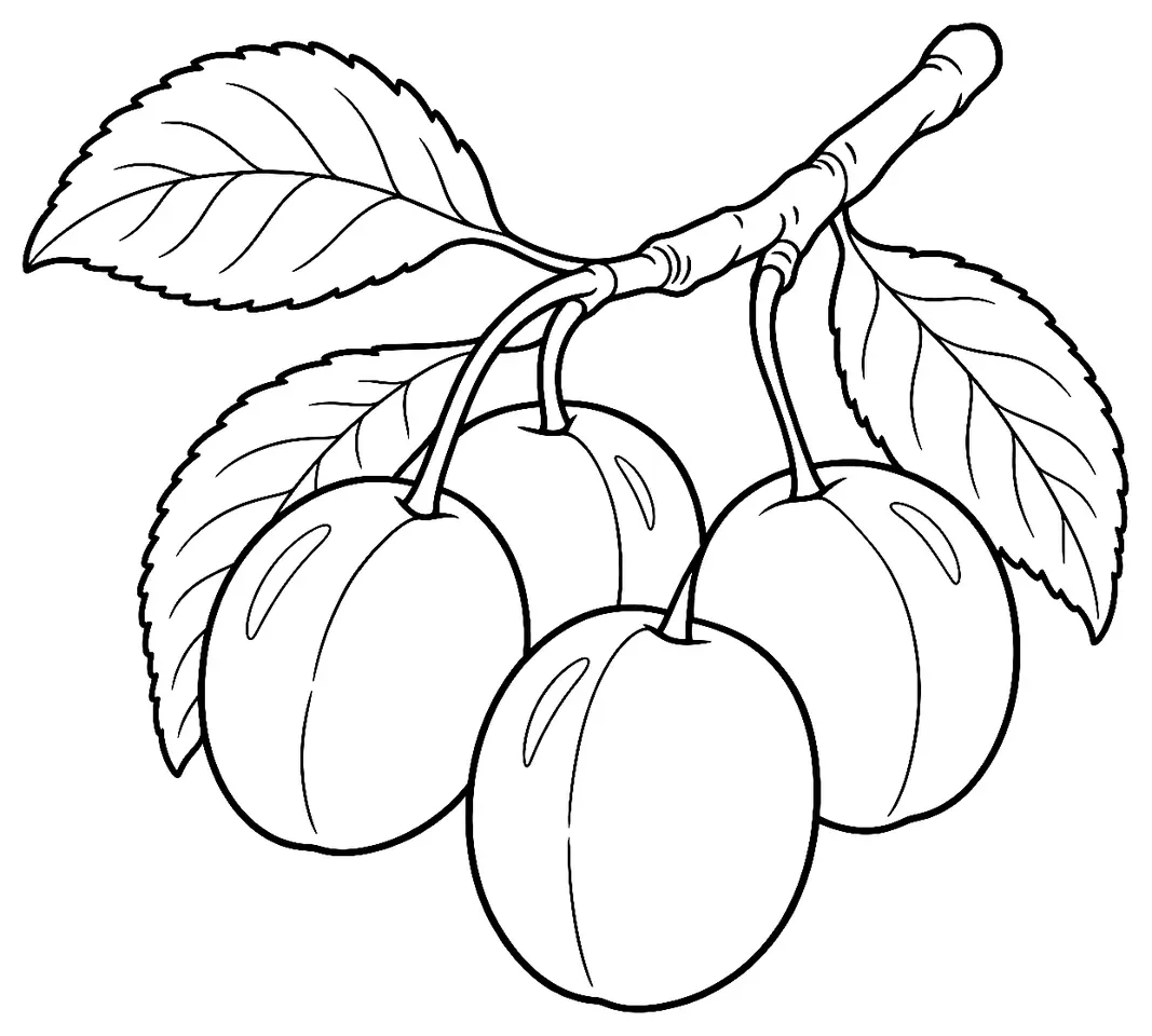 Coloriage de Mirabelle de Lorraine : dessin au trait noir à colorier