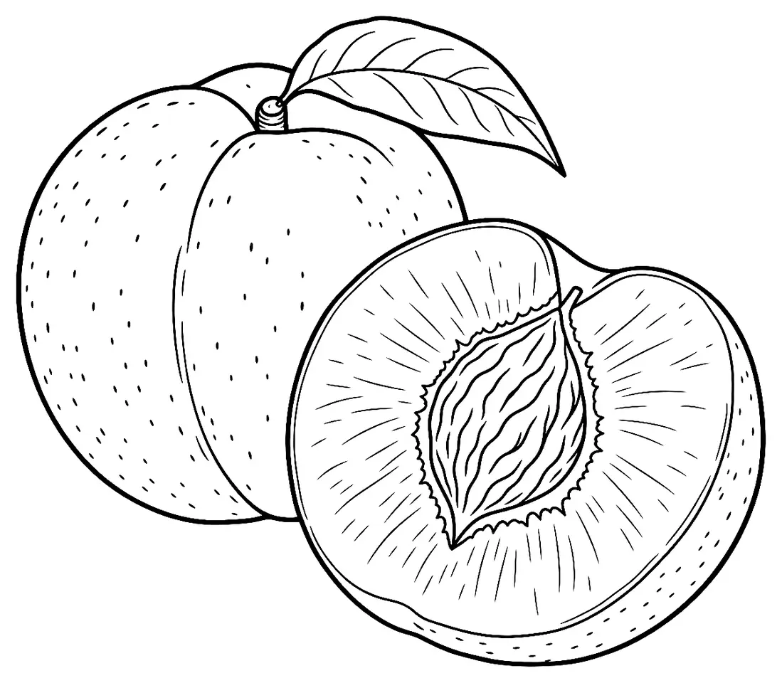 Coloriage de Pêche de vigne : dessin au trait noir à colorier