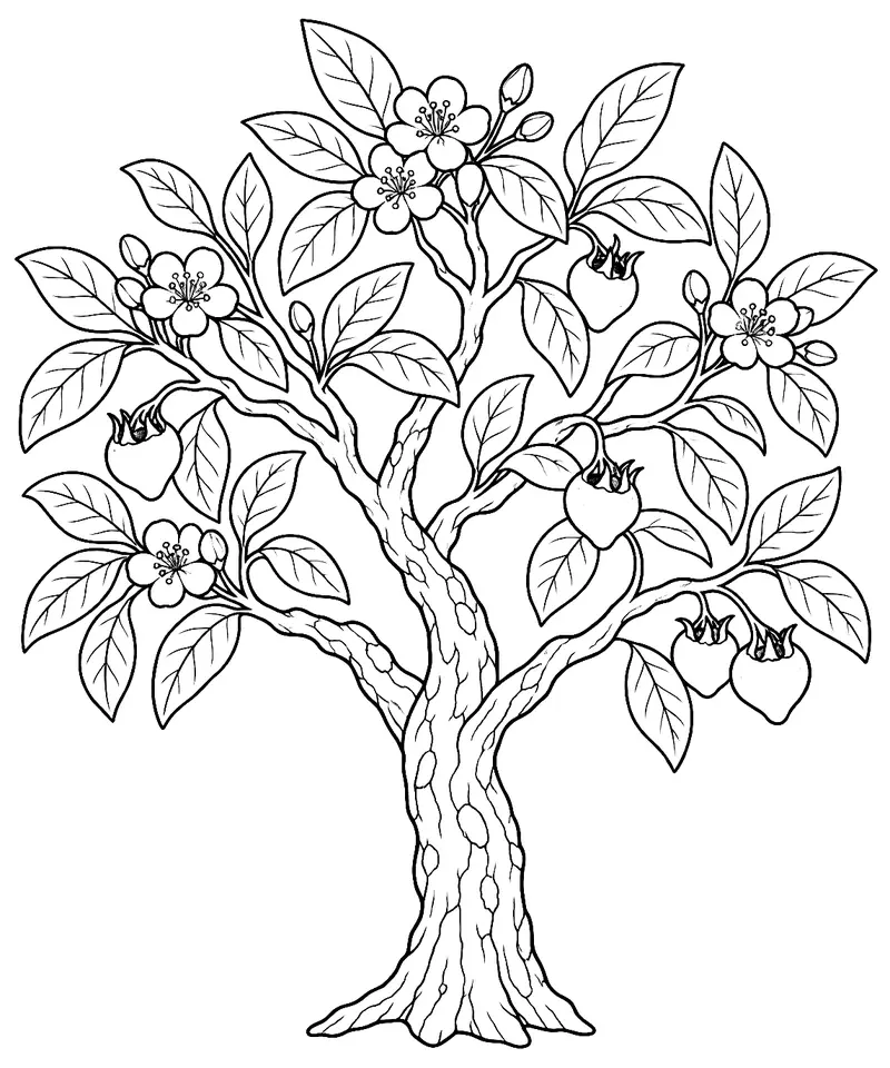Coloriage de Néflier : dessin au trait noir à colorier