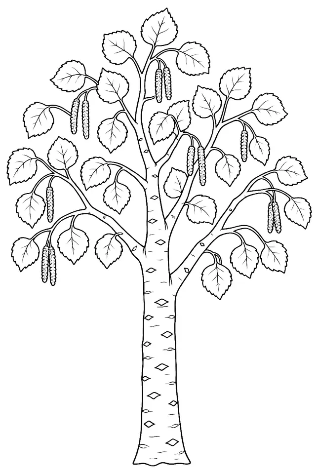Coloriage de Tremble : dessin au trait noir à colorier