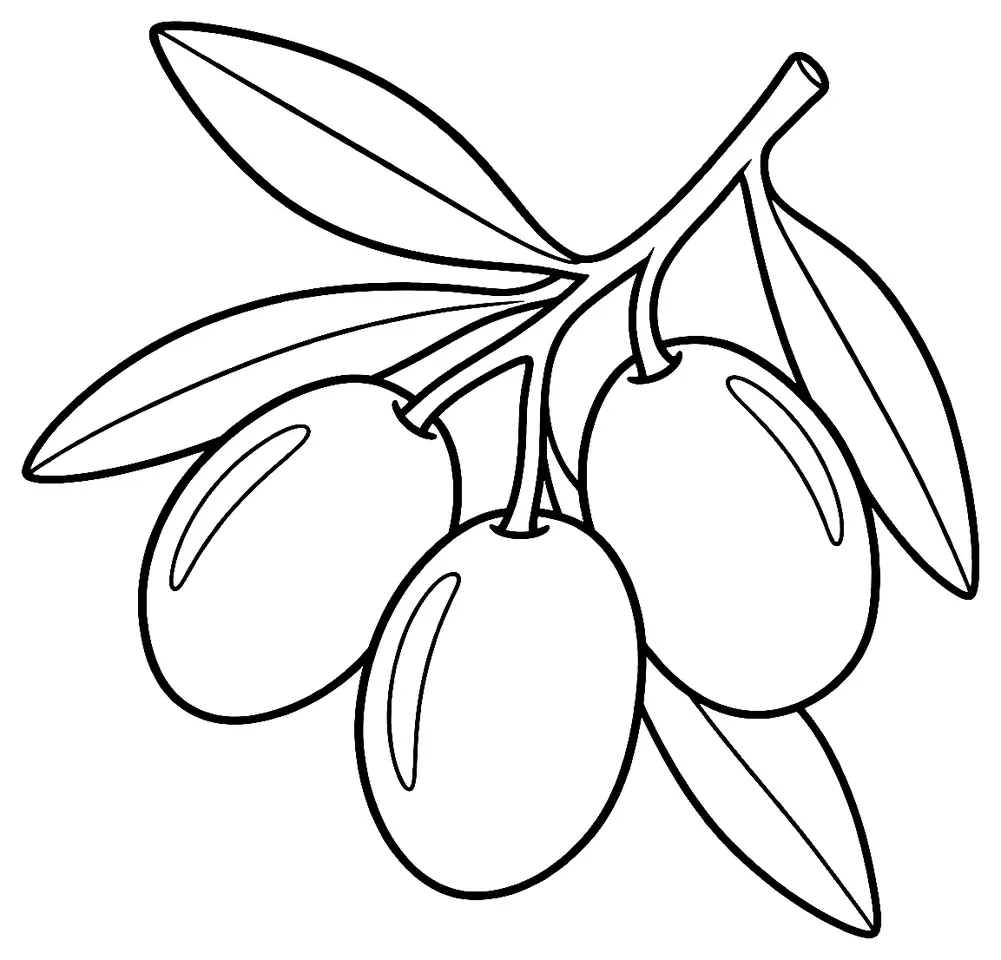 Coloriage de Olive de Nîmes : dessin au trait noir à colorier
