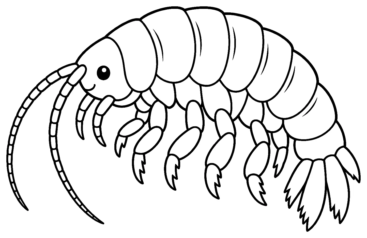 Coloriage de Gammare : dessin au trait noir à colorier