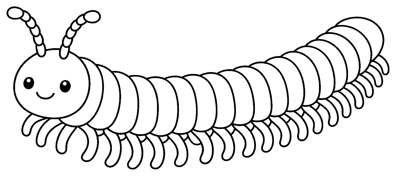 Coloriage de Mille-pattes : dessin au trait noir à colorier