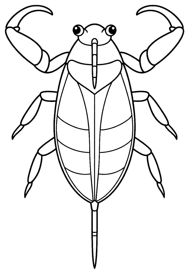 Coloriage de Nèpe cendrée : dessin au trait noir à colorier
