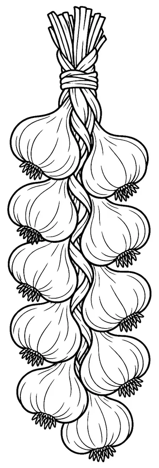Coloriage de Ail fumé d’Arleux : dessin au trait noir à colorier