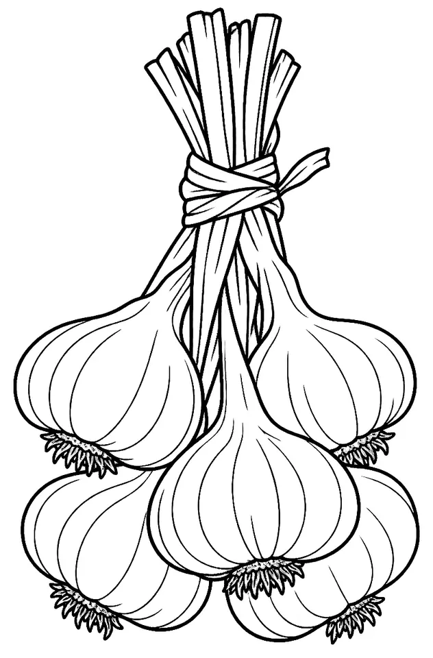 Coloriage de Ail rose de Lautrec : dessin au trait noir à colorier
