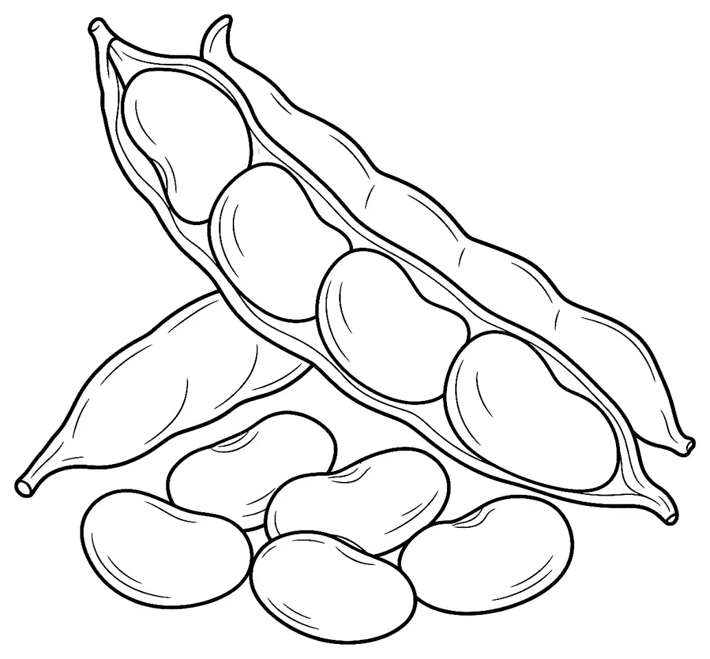 Coloriage de Haricot tarbais : dessin au trait noir à colorier