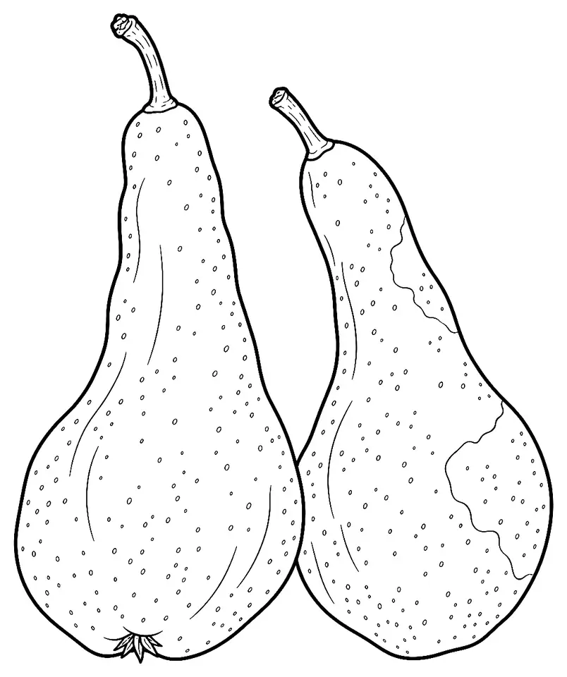 Coloriage de Abbé Fétel (légume) : dessin au trait noir à colorier