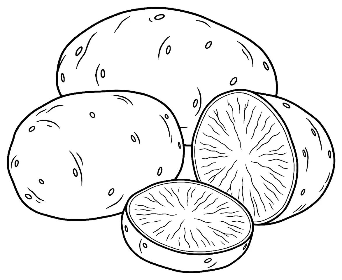 Coloriage de Adirondack Blue (légume) : dessin au trait noir à colorier
