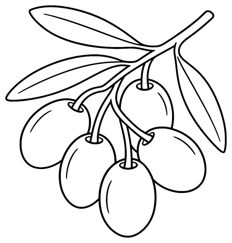 Coloriage de Arbequina (légume) : dessin au trait noir à colorier