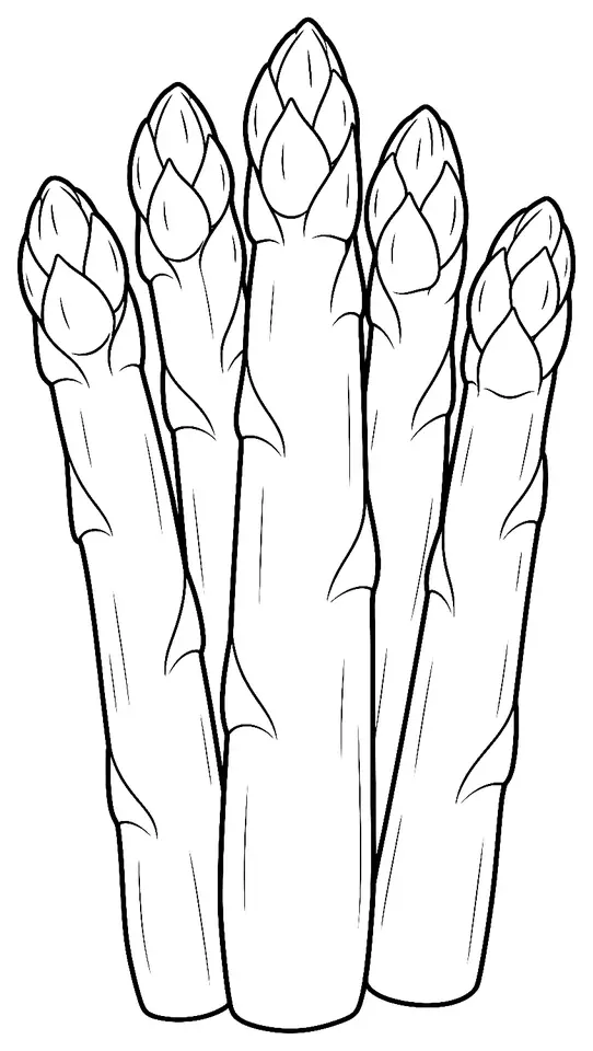 Coloriage de Asperge d’Argenteuil : dessin au trait noir à colorier