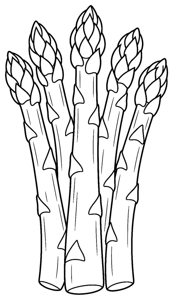 Coloriage de Asperge verte de Lauris : dessin au trait noir à colorier